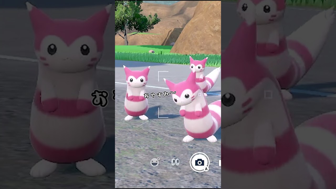 色違いオオタチ6匹！！！【ポケモンSV】