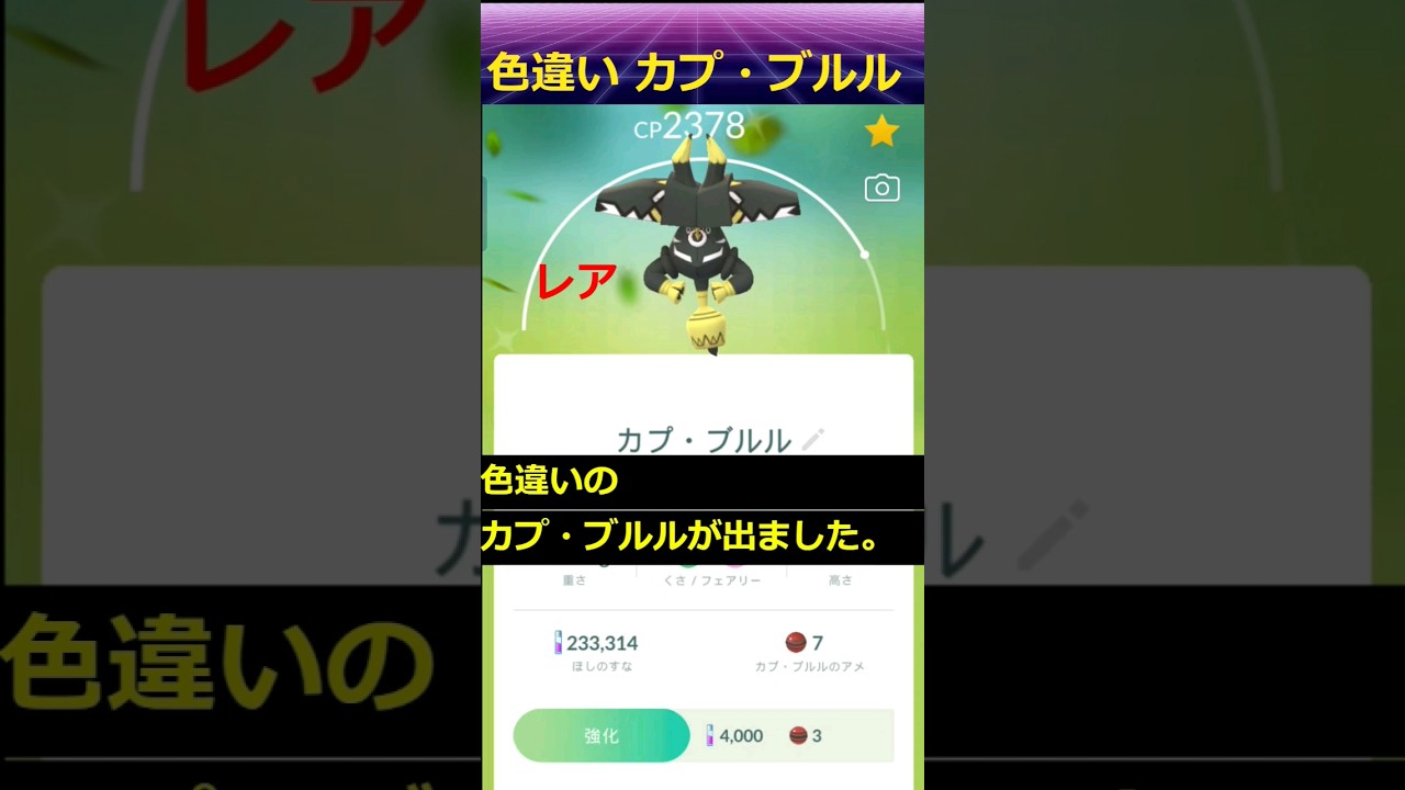【ポケモンgo】色違い カプ・ブルル ゲット！ #ポケモンgo #shinypokemongo #ポケモンgo色違い