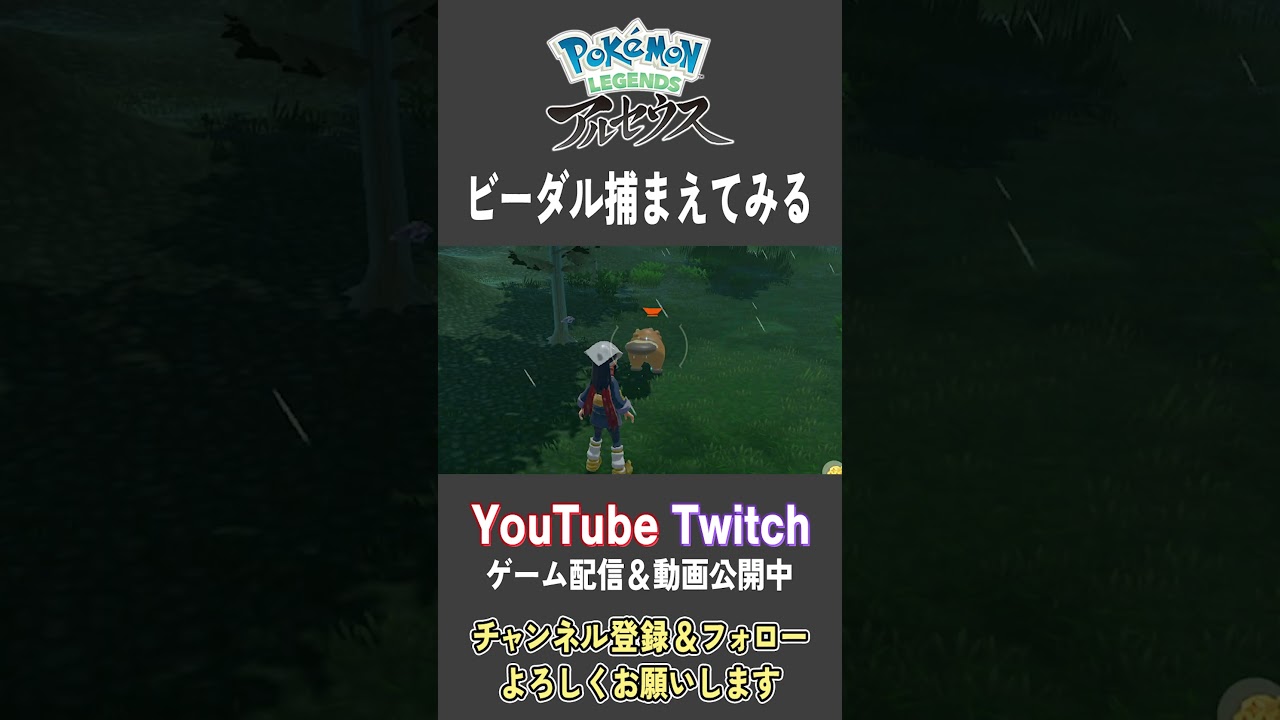 ビーダル捕まえてみる【Pokemon LEGENDS アルセウス】【#Shorts】【#93】