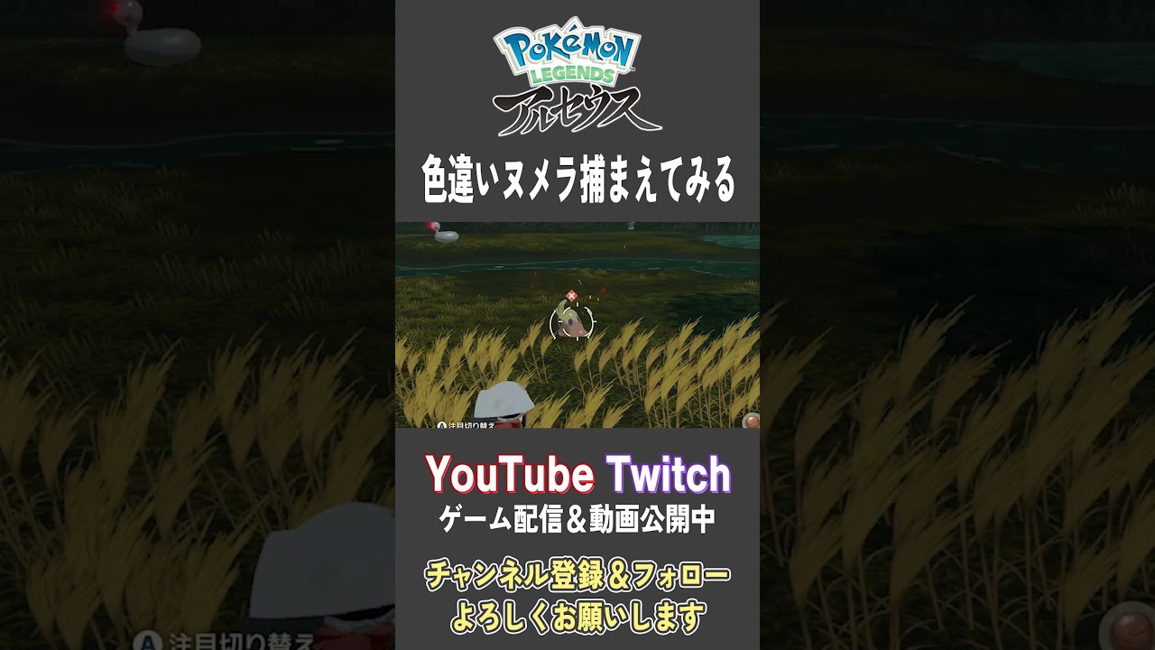 色違いヌメラ捕まえてみる【Pokemon LEGENDS アルセウス】【#Shorts】【#138】