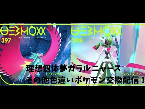 【ポケモンsv】ポケモン交換配信！理想個体夢ガラルニャースor色違いポケモン配布！