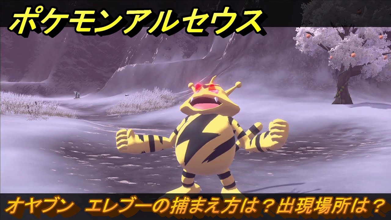 ポケモンアルセウス　オヤブン　エレブーの捕まえ方は？出現場所は？　＃４５０　【Pokémon LEGENDS アルセウス】