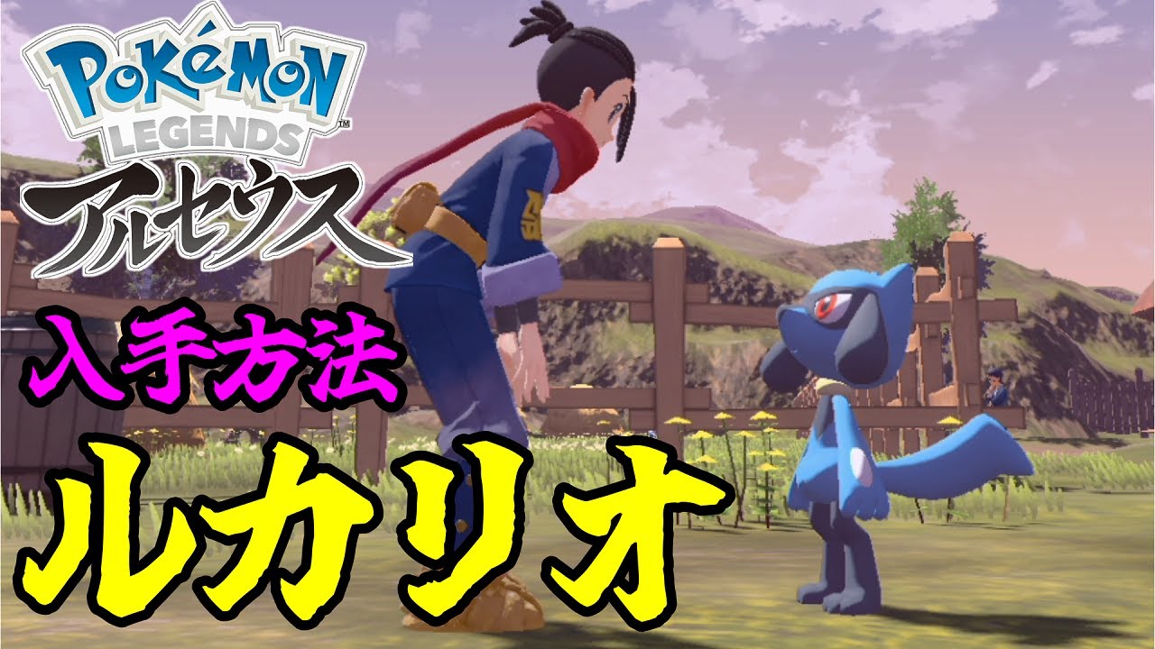 ルカリオの出現場所(リオル)【レジェンズアルセウス】