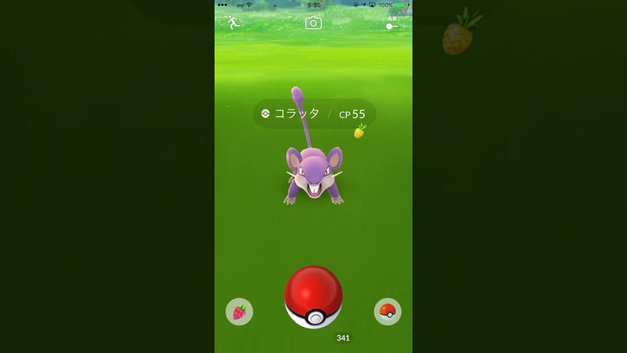 【Pokémon GO Excellent Throw】019 コラッタ (Rattata) (version: 0.69.1)