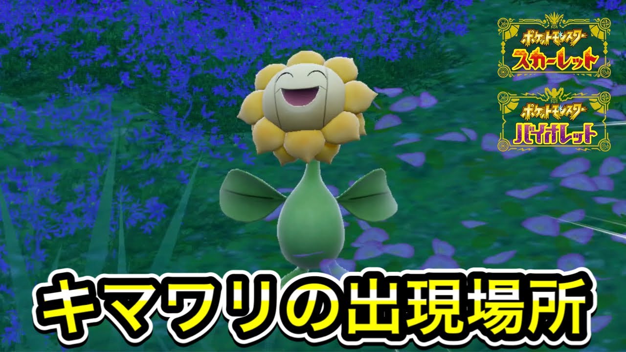 【ポケモンSV】キマワリの入手方法！出現場所を教えます