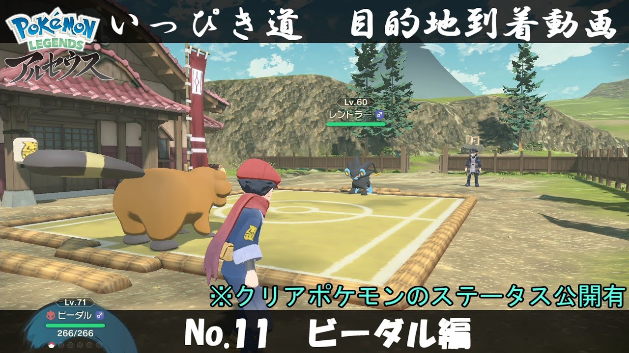 【いっぴき道攻略】No.11 ビーダル編【Pokémon LEGENDS アルセウス】