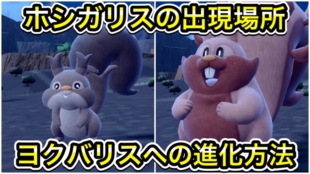 【ポケモンSV】ホシガリスの出現場所！ヨクバリスへの進化方法を解説
