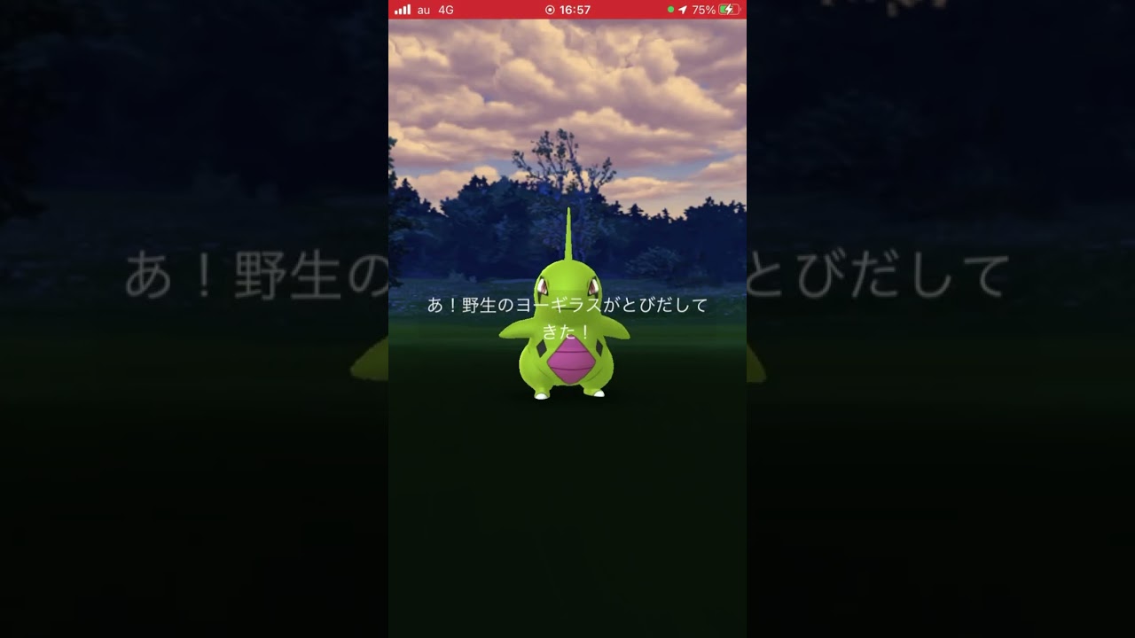 【復刻！】ヨーギラスコミュデイ！【大量！】
