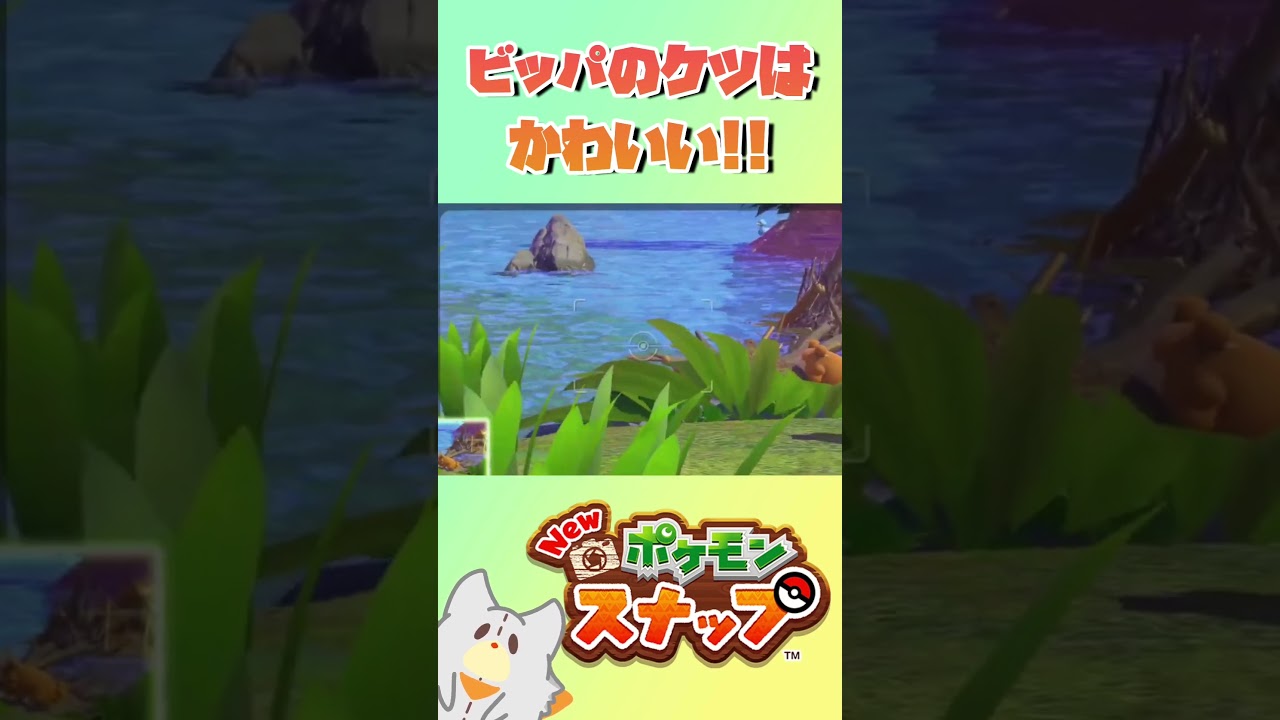 ビッパのお尻はかわいい!!#newポケモンスナップ #ポケモン