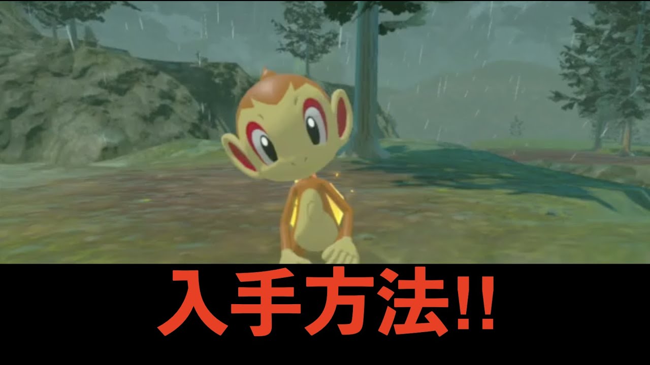 【ポケモンLEGENDSアルセウス】超簡単！ヒコザルの入手場所を紹介！！！！！