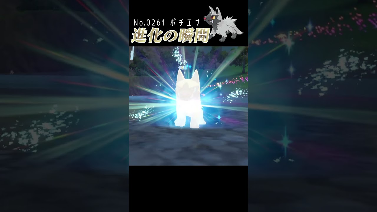 【碧の仮面】ポチエナ 進化の瞬間 #shorts【色違い編】