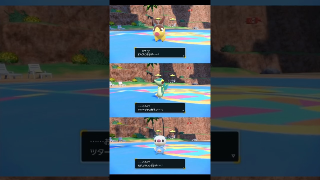 色違いポカブ、ツタージャ、ミジュマル進化【ポケモンSV】 #ポケモン #ポケモンsv #色違い #pokémon #short #shorts