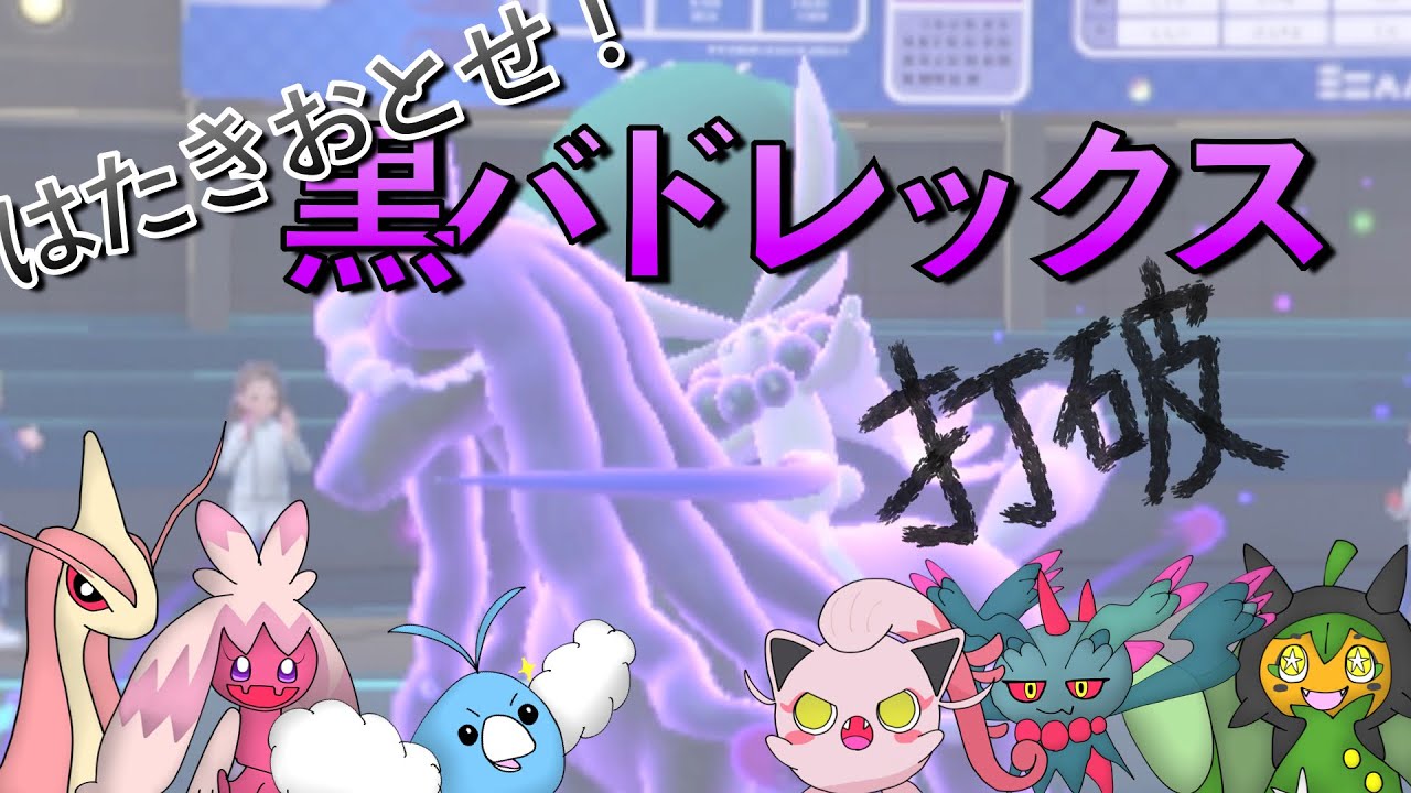 vs黒バドレックス【ポケモン/ダブルバトル】