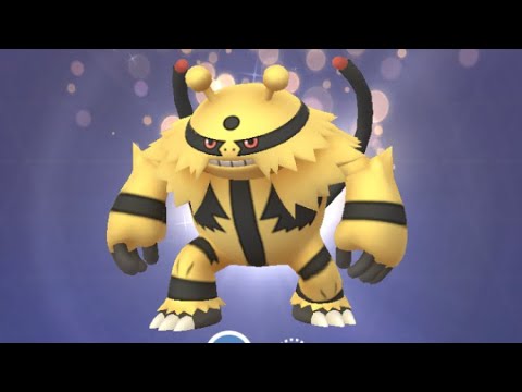 Pokémon GO 466 エレキブル (エレキッド→エレブー→エレキブル進化シーン) シンオウのいし使用 キラポケモン