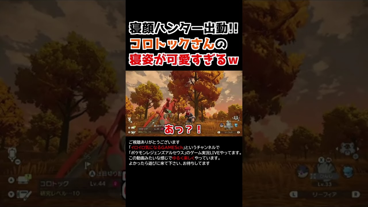 コロトックさんの「寝姿」が可愛すぎるww【Pokémon LEGENDS アルセウス】【寝顔ハンター】