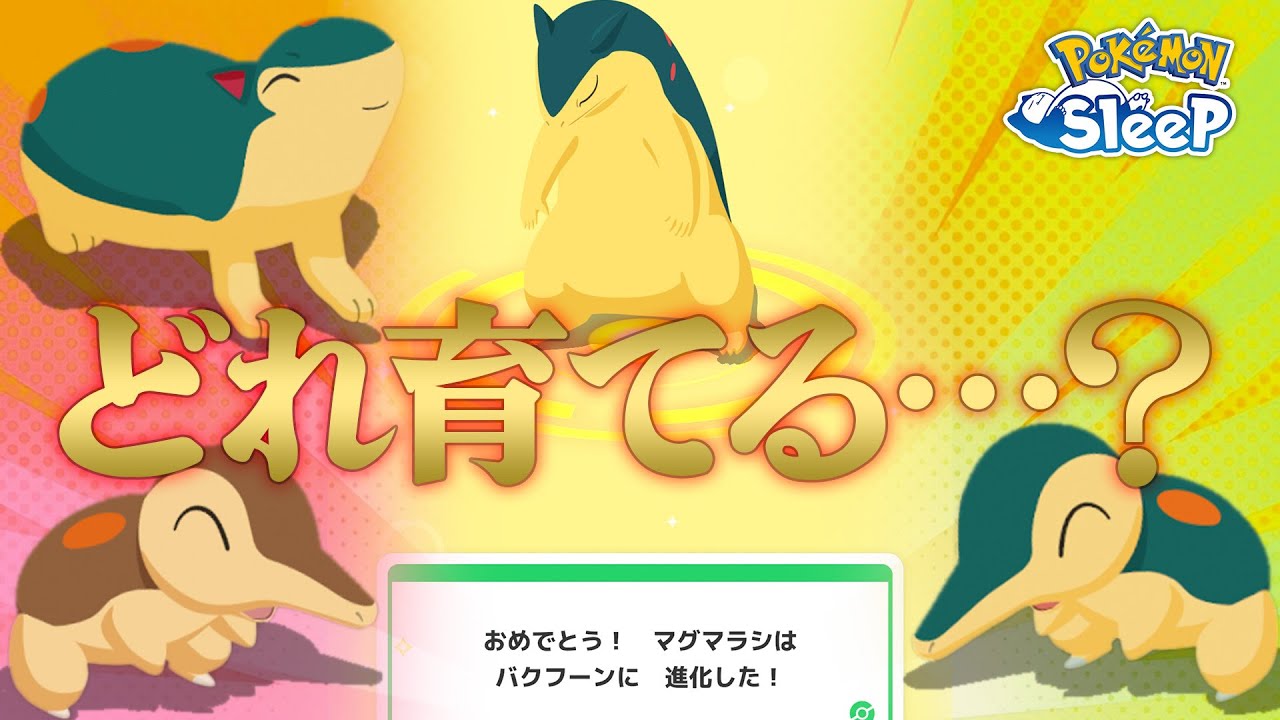 【ポケモンスリープ】10ヶ月間ヒノアラシの育成に悩み続けた人