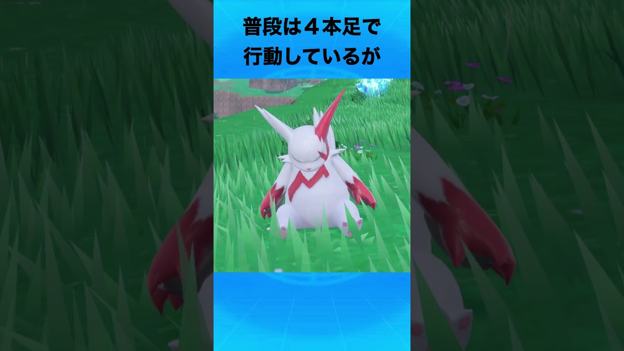 ザングースについて #ポケモン #ザングース  #ハブネーク