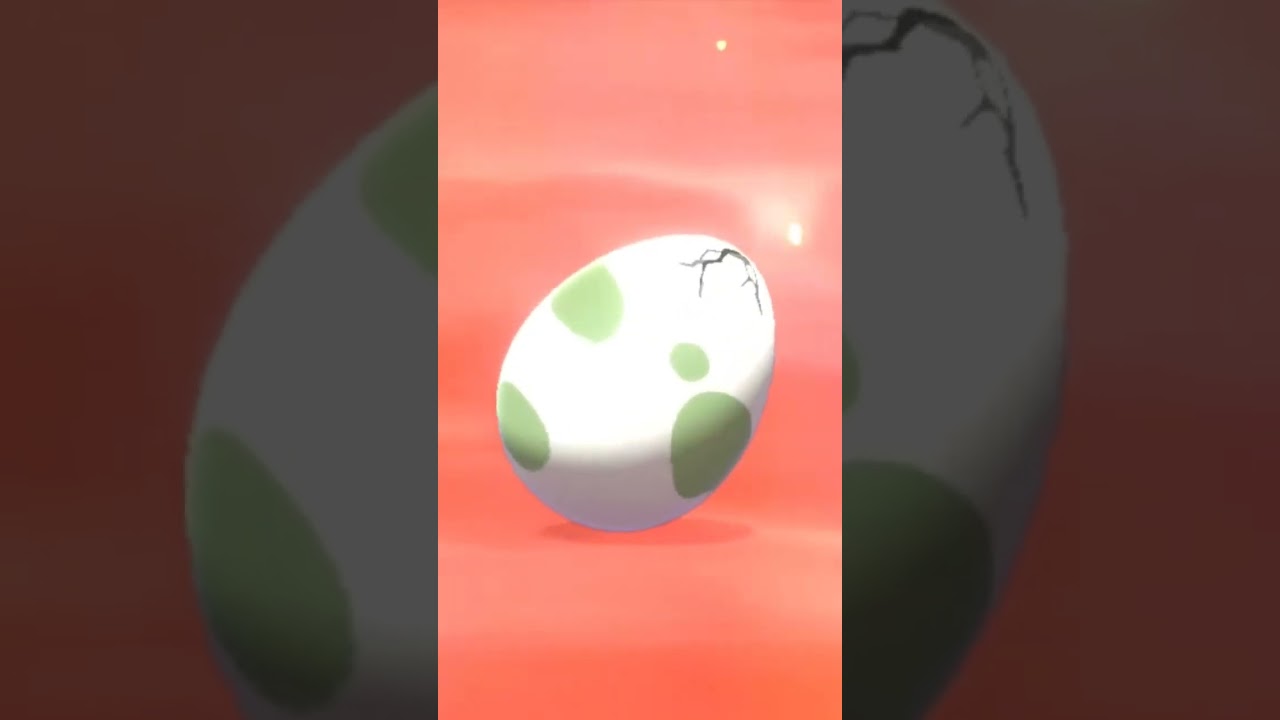 #ポケモン #pokemon #色違い #ポケットモンスター剣盾 #ヤジロン #孵化 #nintendoswitch