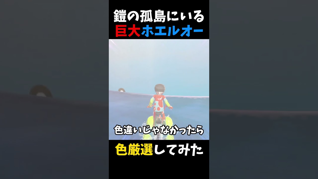 鎧の孤島にいる「でっかいホエルオー」の色違い厳選してみた【ポケモン剣盾】【ワークアウトの海】