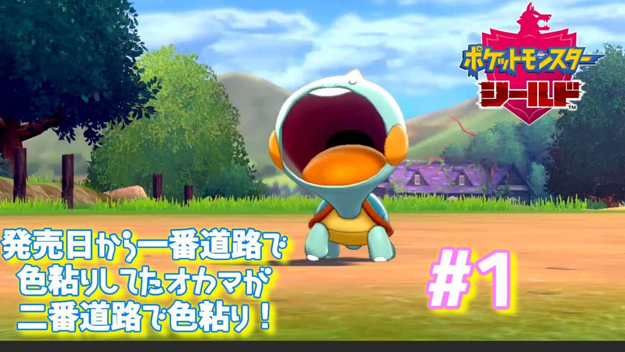 2番道路でカムカメの色粘り始めます！#1