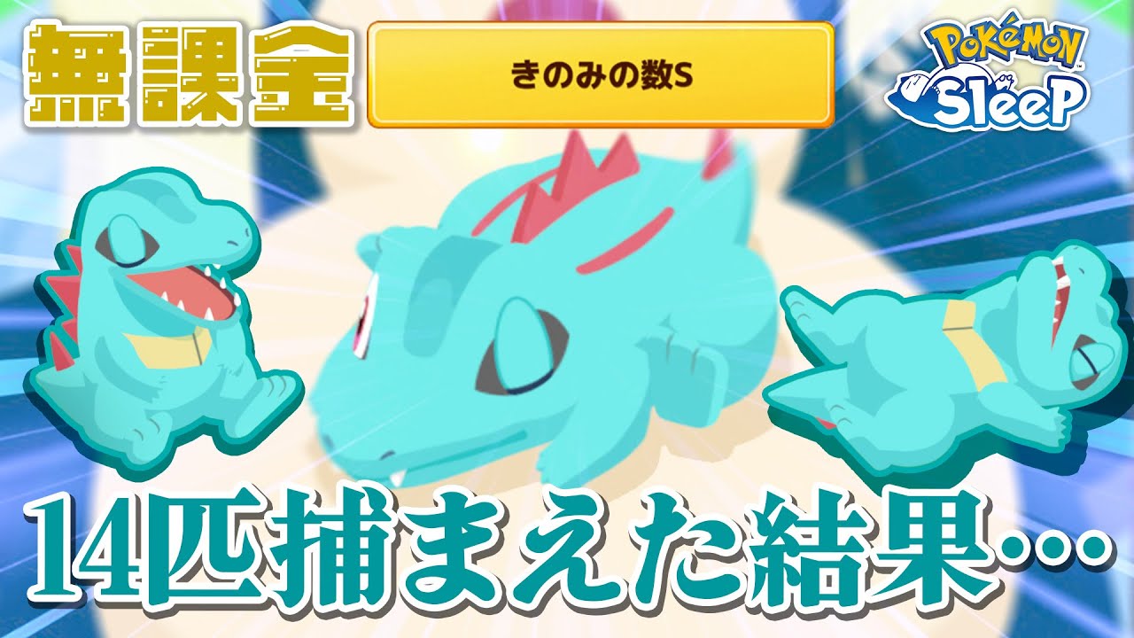 【ポケモンスリープ】無課金がきのみS欲しさにワニノコを捕まえまくった結果…