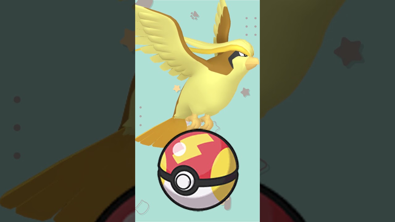 【オシャボ】色違いピジョットみんなは何ボールに入れる？#shorts #ポケモンsv #ポケモンsv色違い   #pokémon