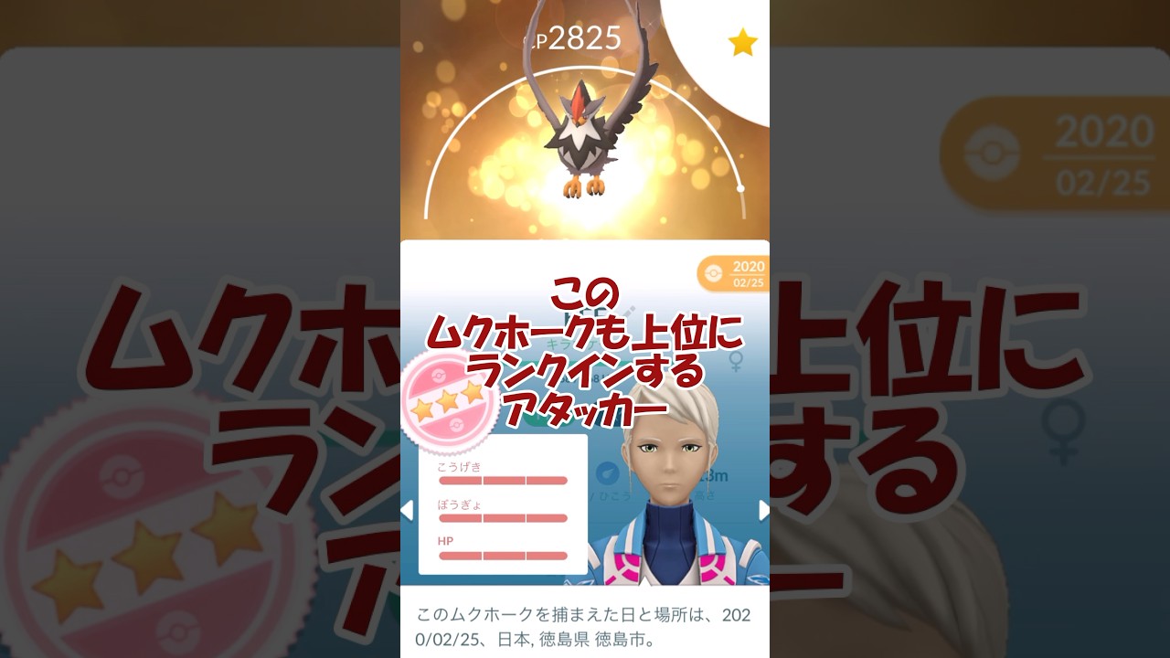 ✨キラ100％✨ムクホークPL50フル強化🐥