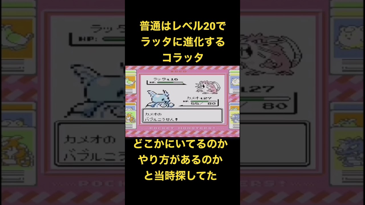 ポケモン　昔レベル16のラッタを探していた男