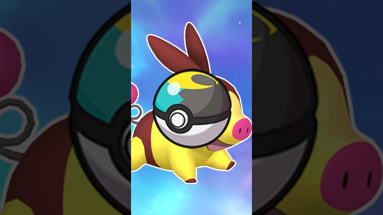 【オシャボ】色違いポカブみんなは何ボールに入れる？#shorts #ポケモンsv #ポケモンsv色違い #pokémon