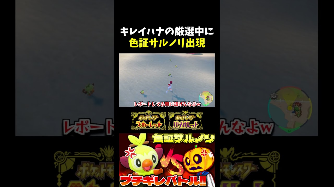 【ポケモンSV】恐れてた事態!? キレイハナの厳選中に現れた色証サルノリがまさかの証持ちだったけど…ｗ【切り抜き】【色違いポケモン】【色違い厳選】#shorts