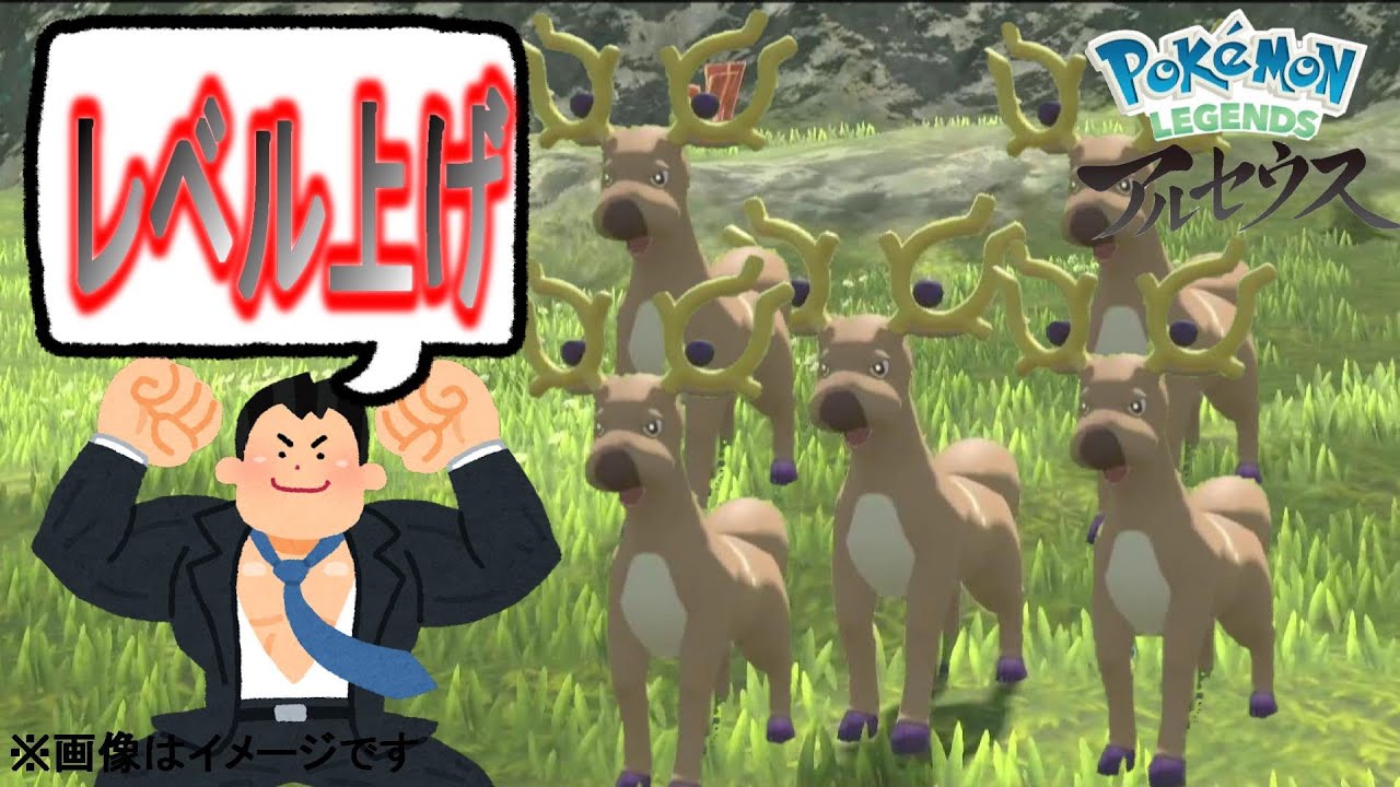 【ポケモンレジェンズ】「オドシシ」倒してレベル上げ！序盤の簡単な経験値稼ぎ【PokémonLEGENDS/Stantler】