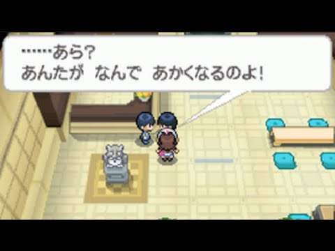 【ポケモンBW】ゾロアと話す