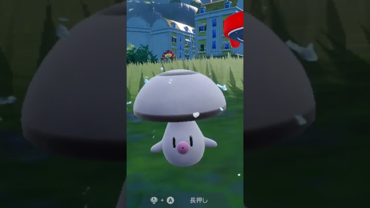 タマゲタケ Foongus【ポケモンsv】