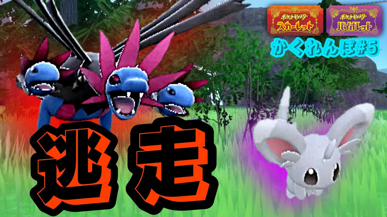 【ポケモンかくれんぼ】恐怖のサザンドラにバレても逃げ続けるチラーミィwww