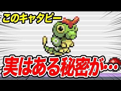 #53【改造ポケモン】実はこのキャタピーあるには秘密が…【モヤッシモンスター049】
