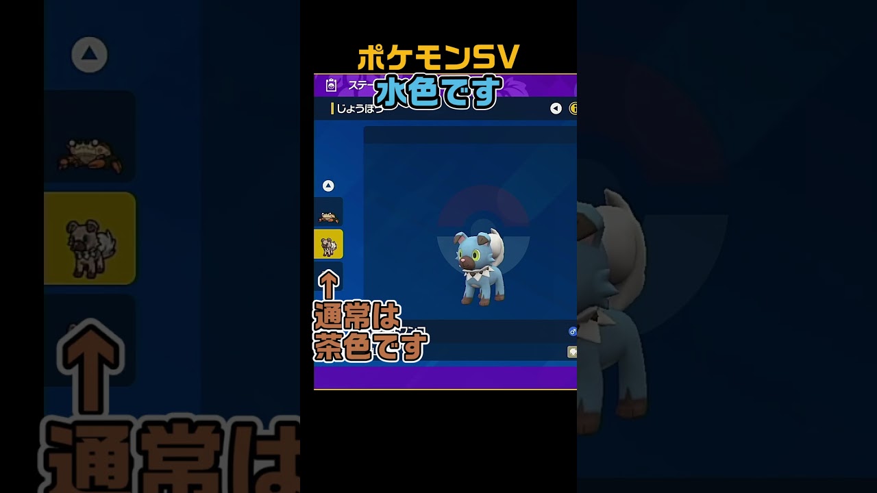 色違いイワンコ　 #shorts　ポケモンSV