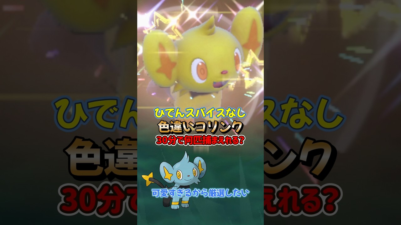 【ポケモンSV】眼福！ひでんスパイスなし色違いコリンクを30分で何匹仲間にできるか！？ポケモンスカーレットバイオレット#ポケモンsv #ポケモン #Shorts