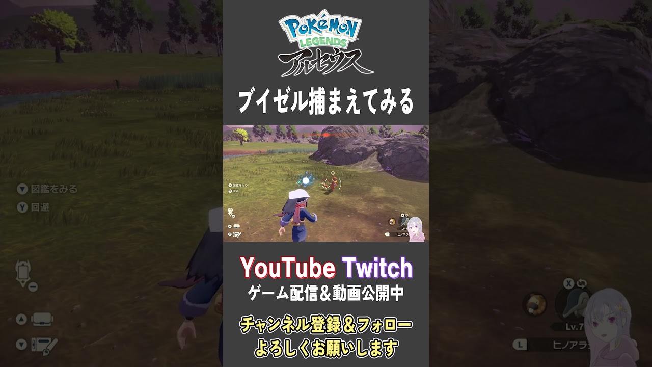 ブイゼル捕まえてみる【Pokemon LEGENDS アルセウス】【#Shorts】【#17】