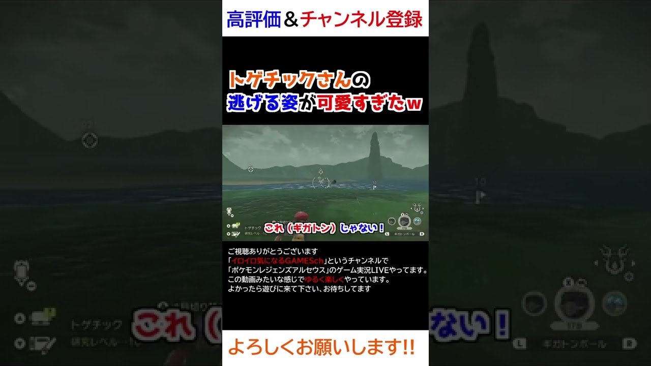 トゲチックさんの逃げる姿が可愛すぎたｗｗｗ【Pokémon LEGENDS アルセウス】【寝顔ハンター】
