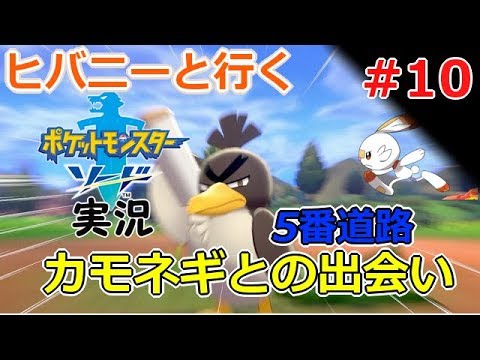 【実況】#10 ヒバニーと行く！ポケモン剣盾「ソード」【ポケモンソードシールド】
