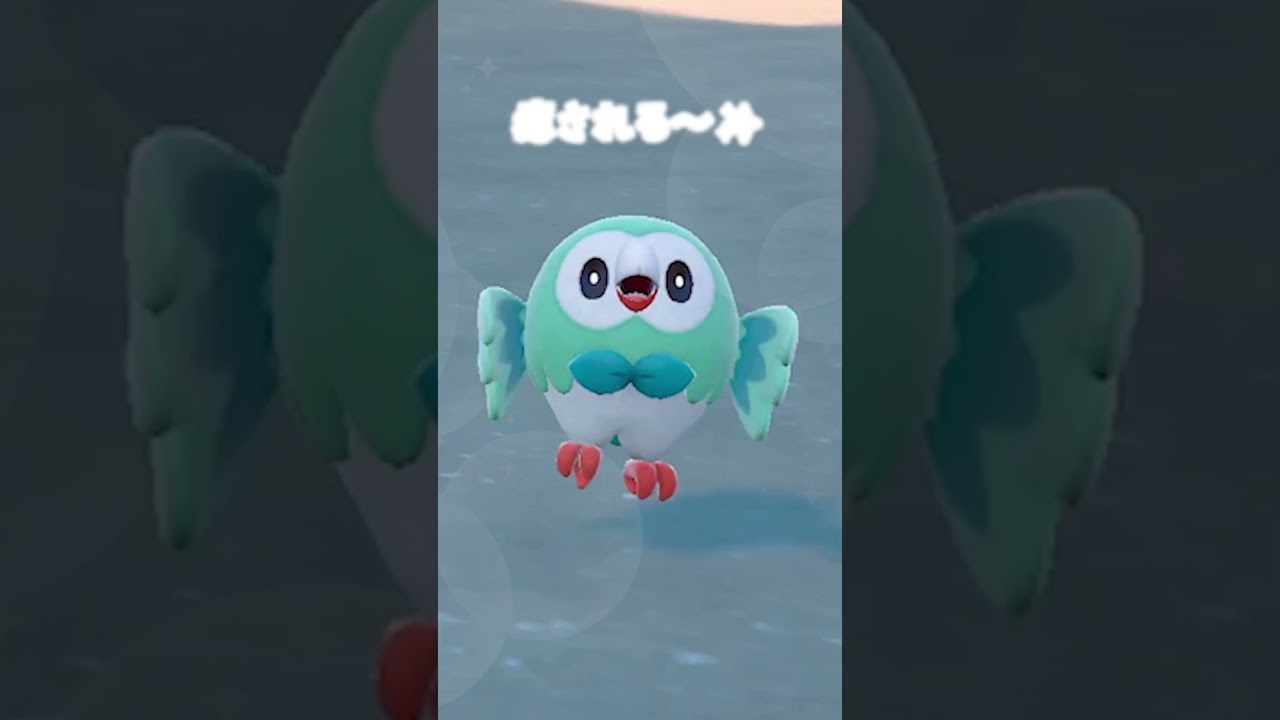 色違いモクローの可愛さに癒される～✨【ポケモンSV】