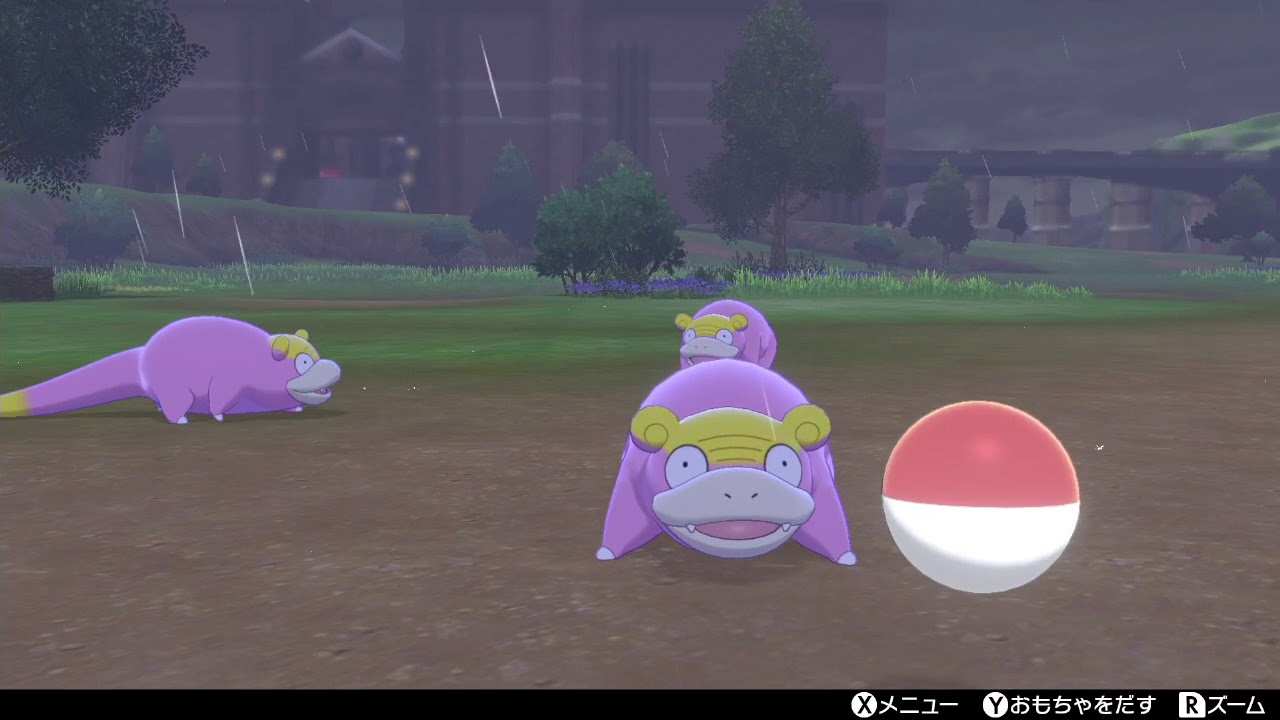 [ポケモン剣盾]ポケモンキャンプ、ガラルのヤドン観察
