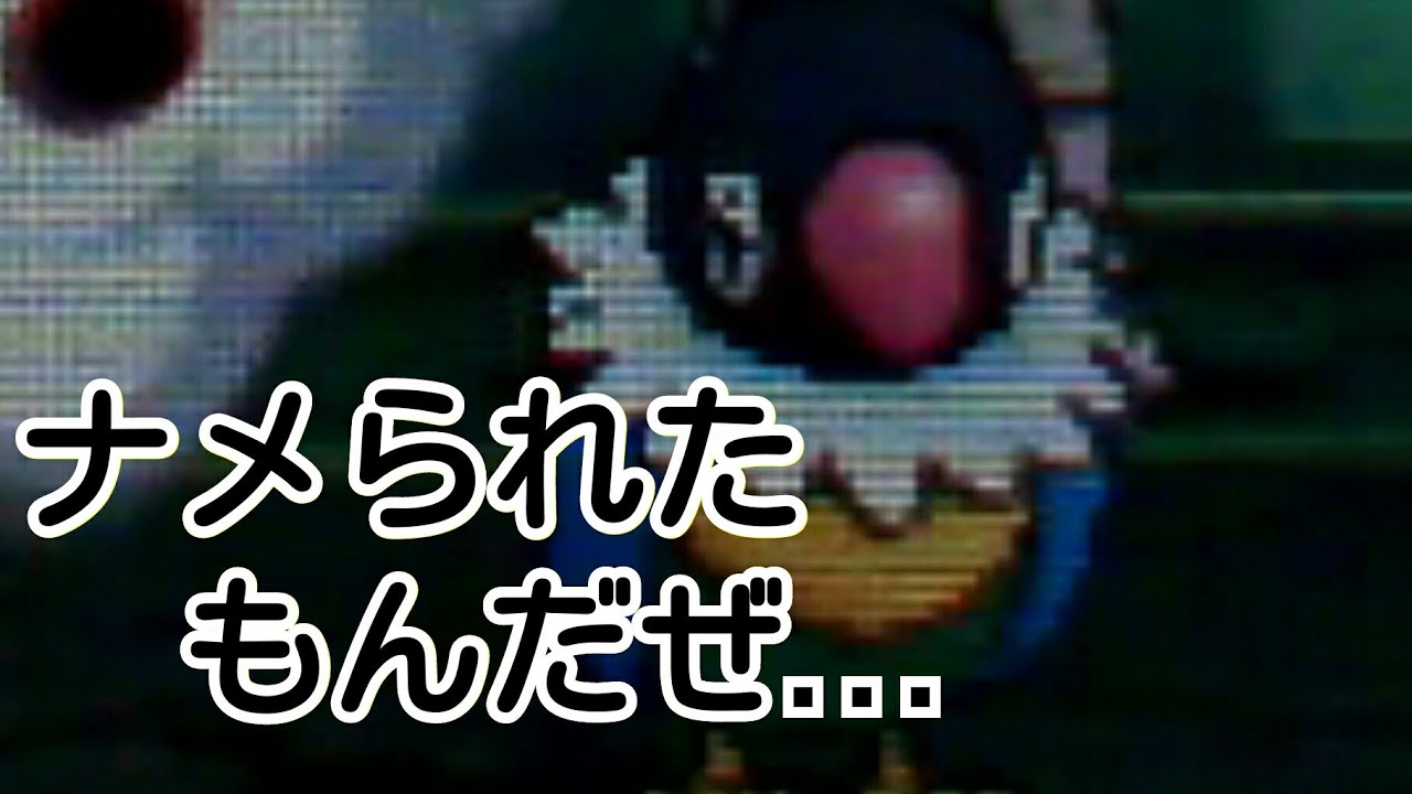 【ポケモンUSUM】ペラップの前に守ってくるバシャーモがいるってマ？