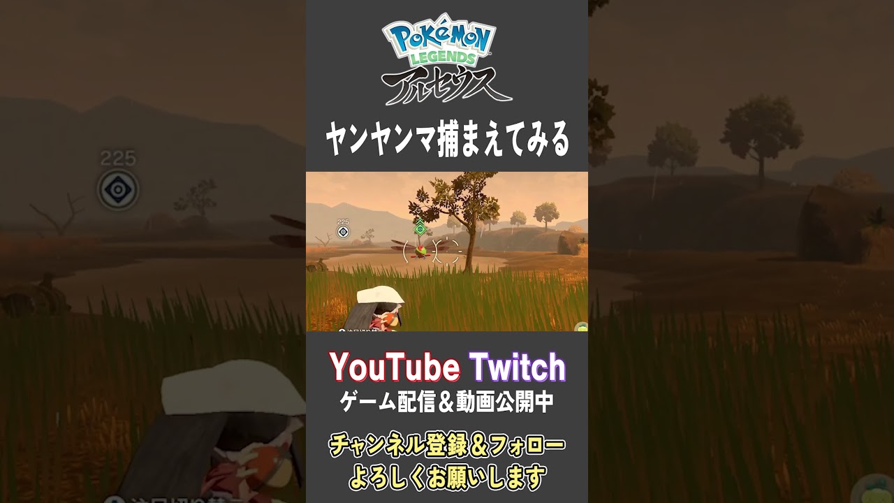 ヤンヤンマ捕まえてみる【Pokemon LEGENDS アルセウス】【#Shorts】【#63】