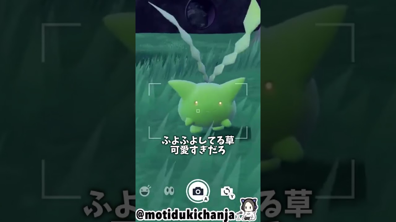 ハネッコの色証厳選 #ポケモンsv