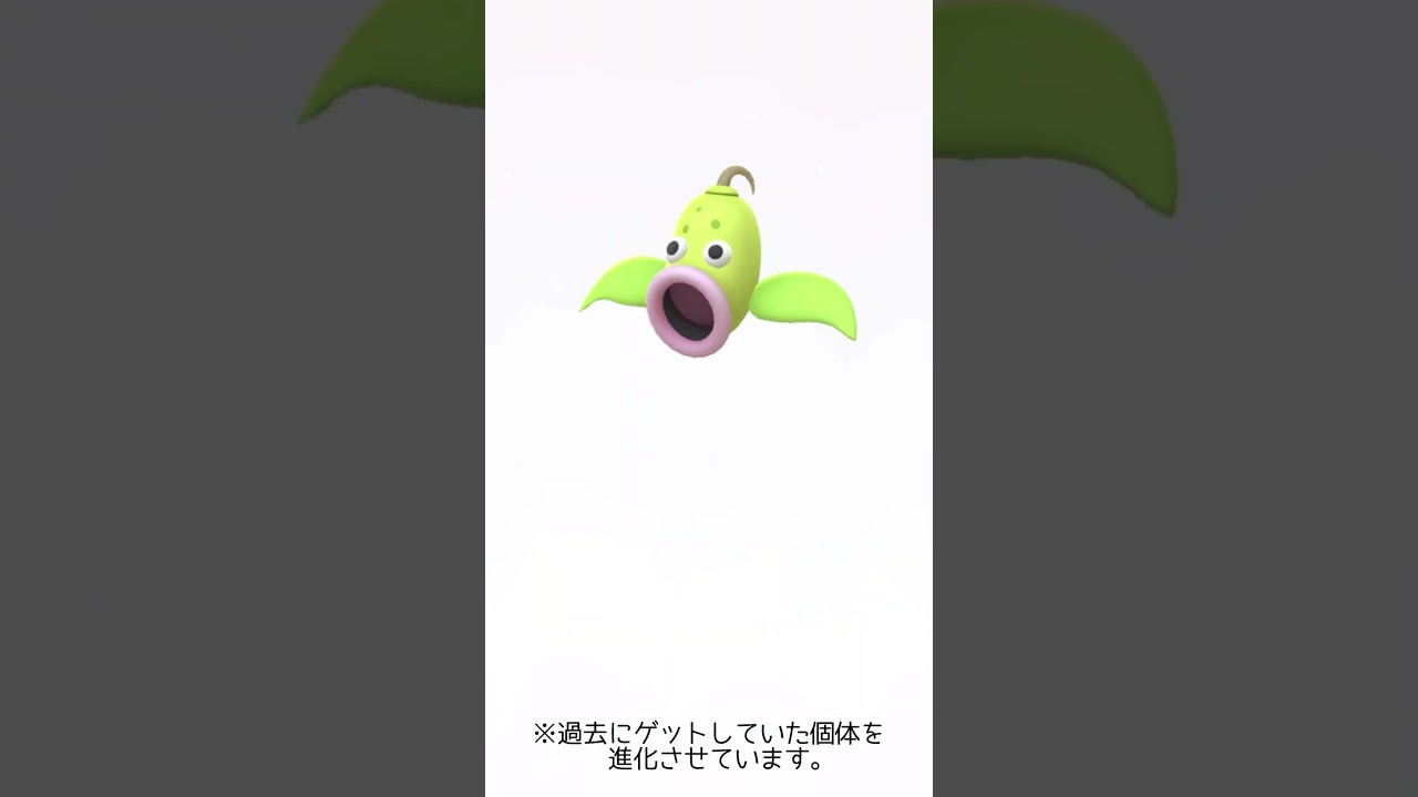 【ポケモンGO】色違いマダツボミ➡︎ウツボット【コミュデイ2024年4月】 #shorts