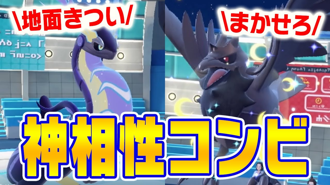 ミライドンの相棒にお悩みのあなたへ
