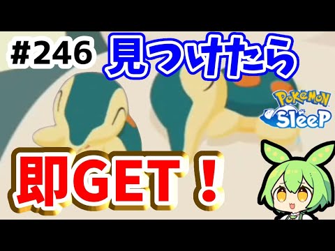 【睡眠リサーチ】＃246『ヒノアラシを見つけたら迷わずGETしよう』【ポケモンスリープ/pokemon sleep】【無課金ゆっくり実況ずんだもん】