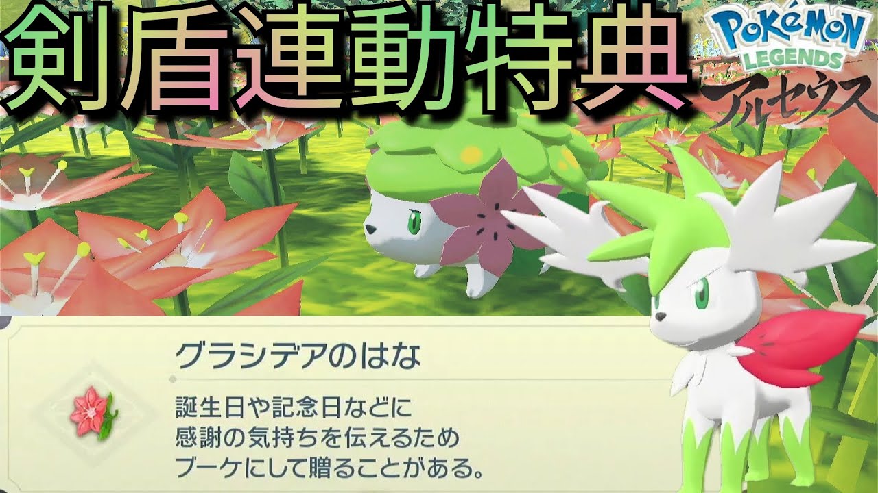 【剣盾連動特典】幻のポケモン「シェイミ」をバトル＆ゲットしてみた！フォルムチェンジも！ポケモンレジェンズアルセウス/サブ任務92「ありがとうを伝えたい」/グラシデアの花畑/クリア後