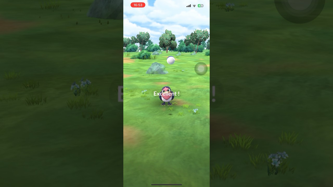 スバメ エクセレントスロー #shorts